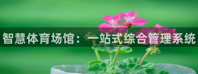 必一体育下载移动版：