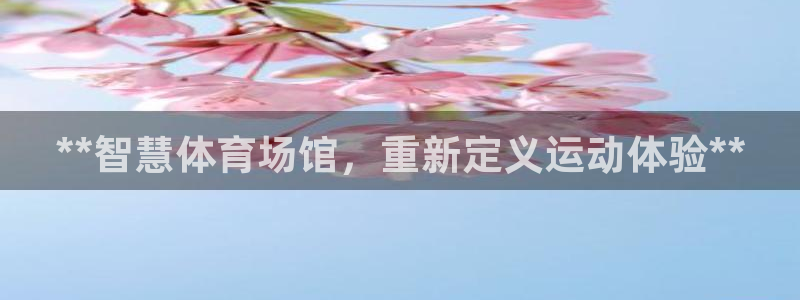 必一体育app官方正