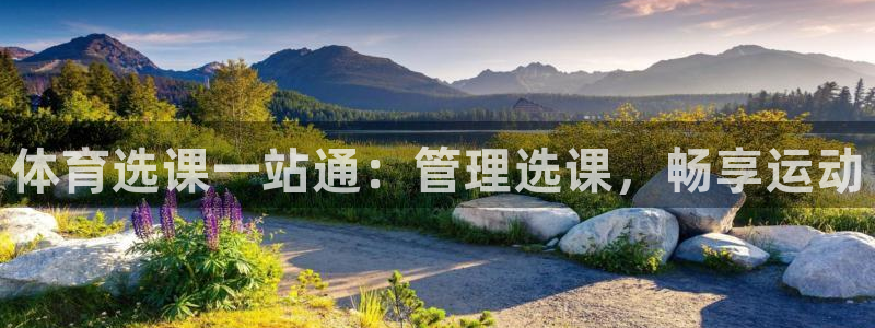 必一体育下载app：
