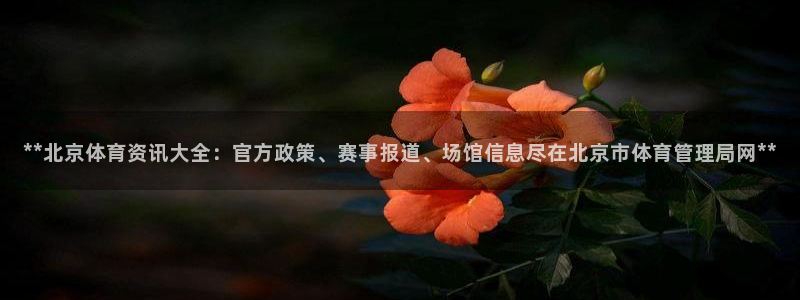 必一体育官网ios下