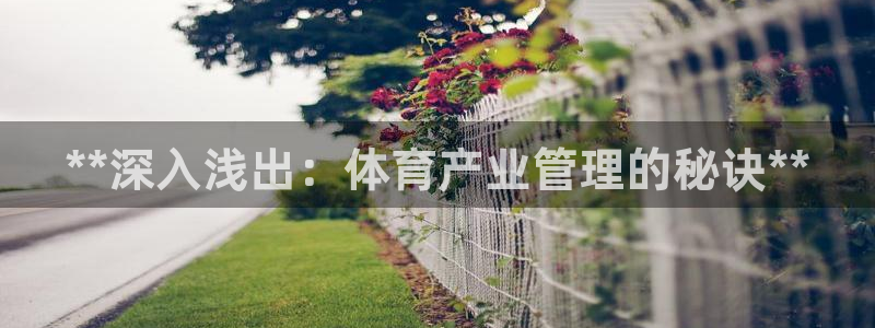 必一体育官网app