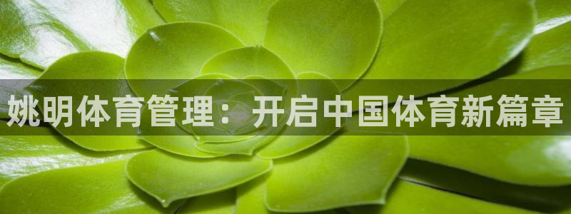 必一体育登录入口AP