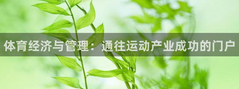 必一体育app下载最新版本