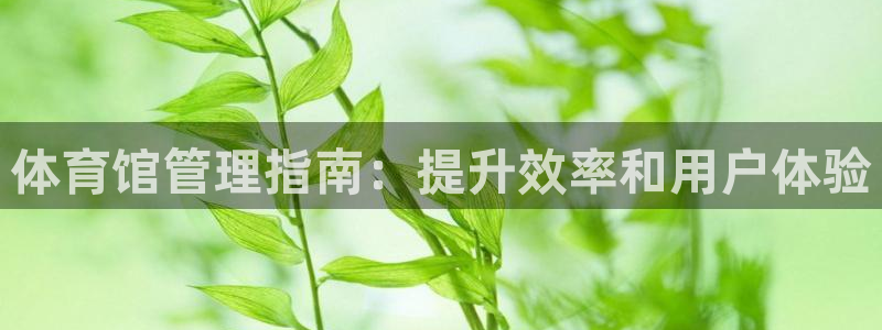 必一体育在哪下：体育