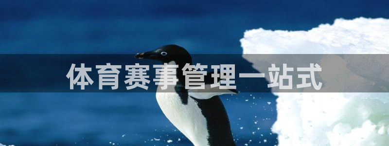 必一体育sport