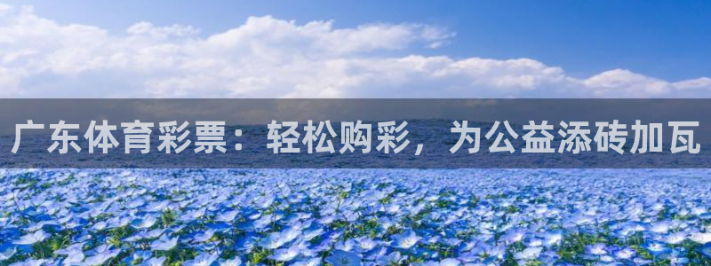 必一体育官方下载：广