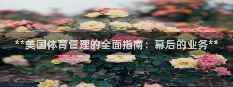 必一体育app官方网
