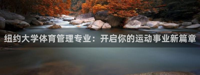 必一体育验证码：纽约