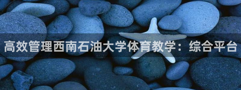 必一体育运动下载