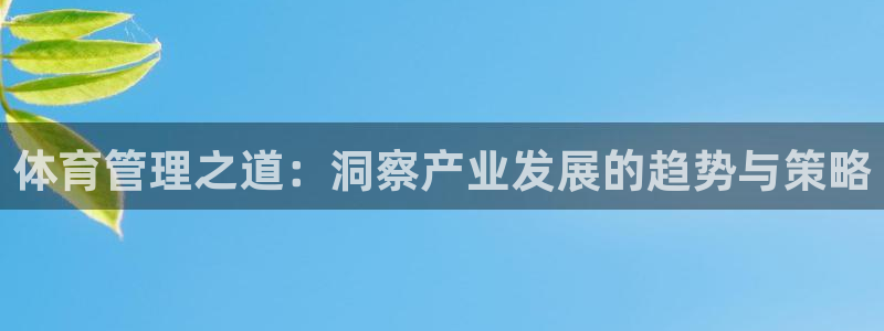 必一体育黑平台
