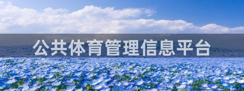 必一运动体：公共体育