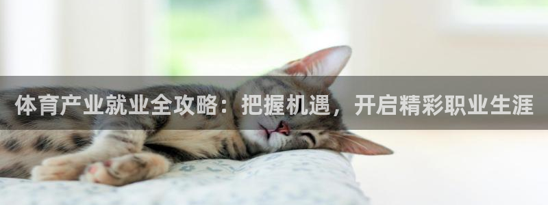 必一体育在线登陆