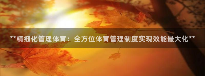 必一体育在线玩：**