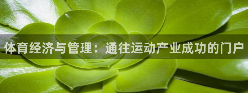 必一体育官方入口