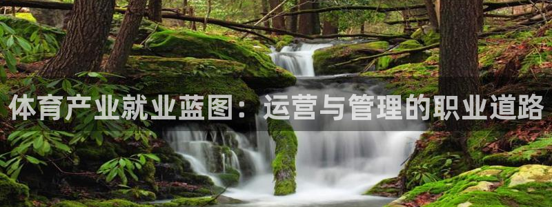 必一体育是啥