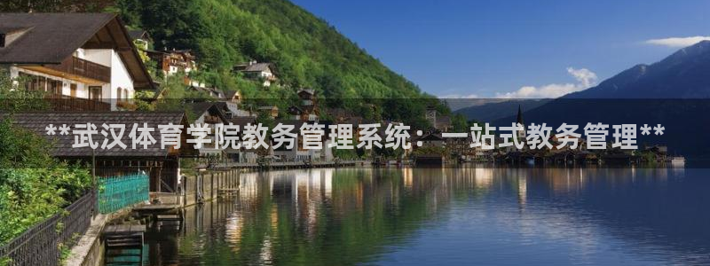 必一体育sport官