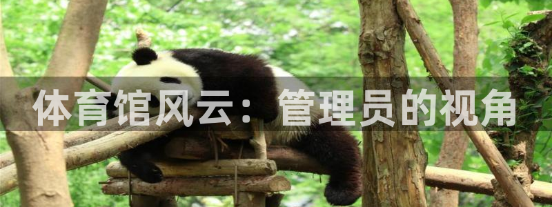 必一体育官网入口