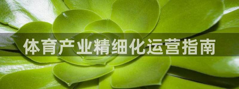 必一体育app平台下载