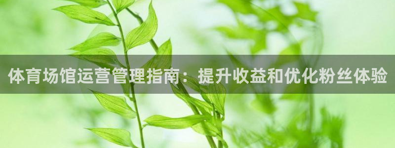 必一体育合法吗：体育