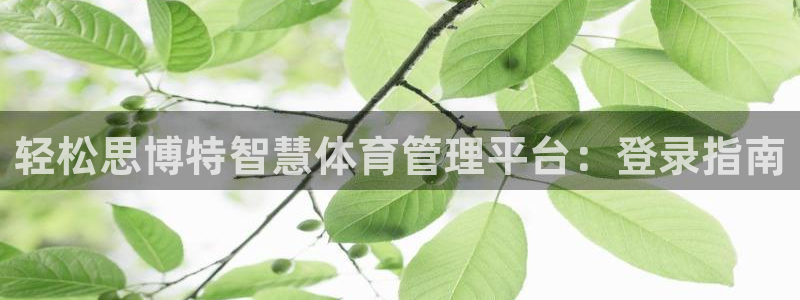 必一体育sport装