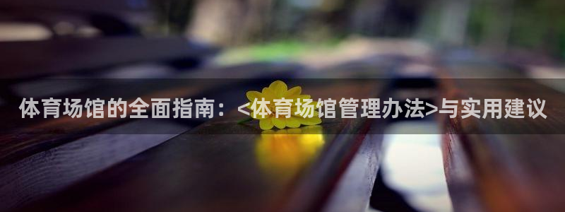 必一体育平台：体育场