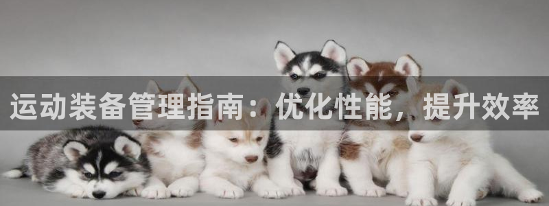 必一体育下载：运动装