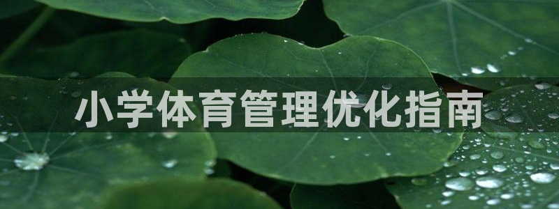 必一体育登陆：小学体