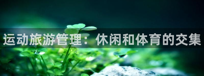 必一体育APP下载安装