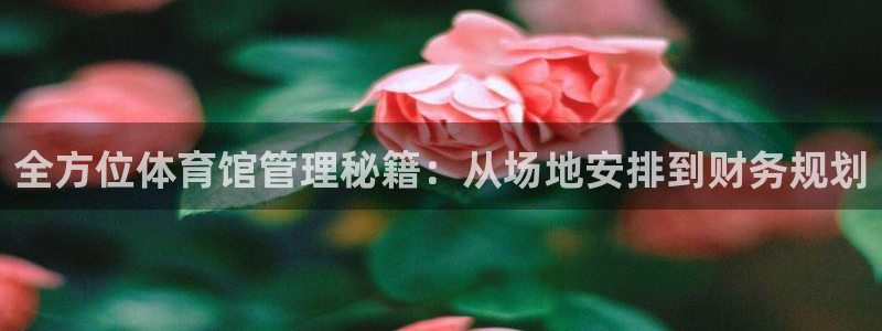 必一体育官方入口：全
