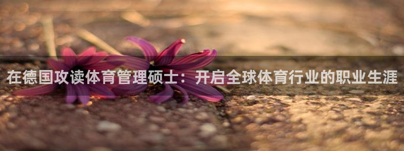 必一体育没了：在德国