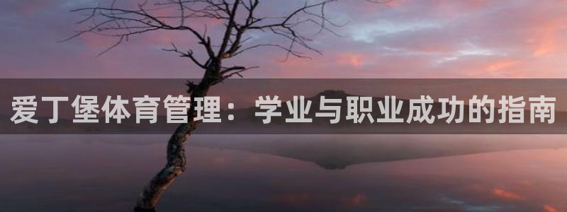 必一体育网站