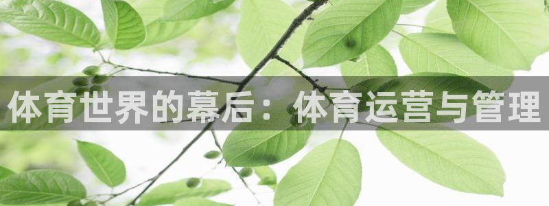 必一体育下载移动版