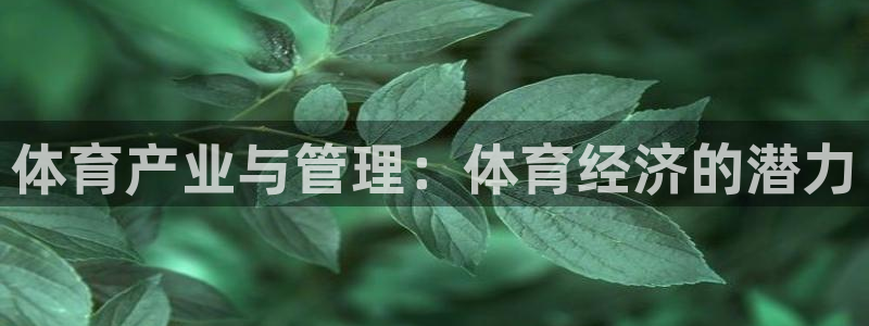 必一运动短信