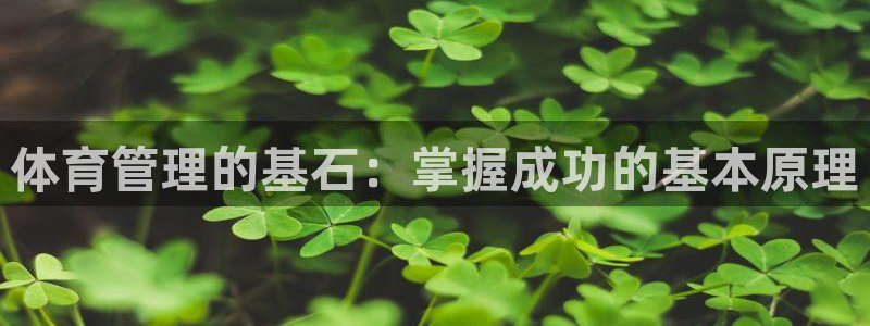 必一运动听的歌：体育