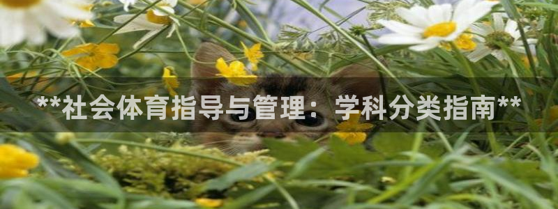 必一体育下载秀给网：