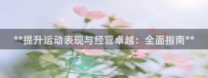 必一体育没了：**提