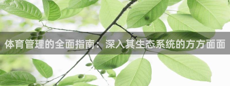 必一体育在线入口