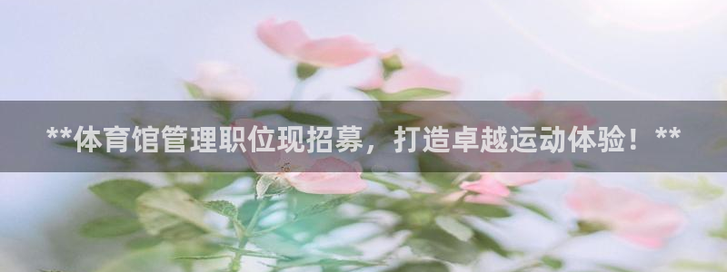 b体育必一运动网页版在线登录入口