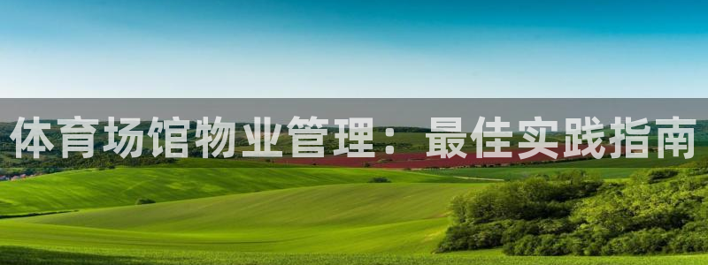 必一体育下载：体育场