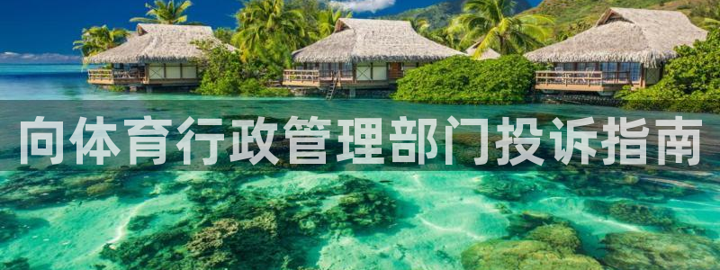 必一体育登陆：向体育