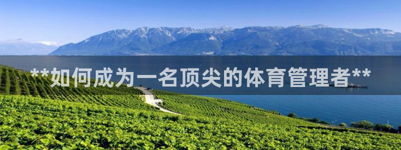 必一体育官网网址