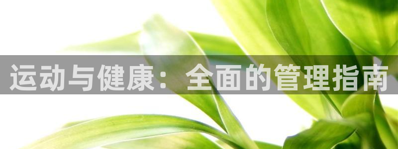 必一体育下载app下