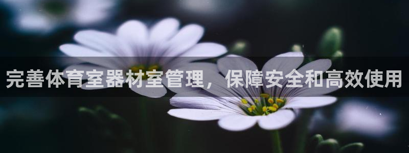 必一体育游戏玩法
