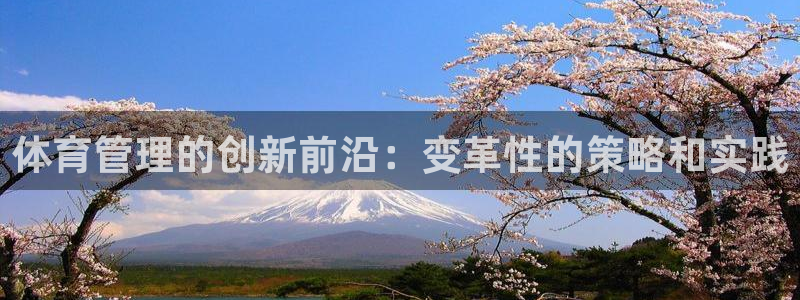 必一体育bsport下载
