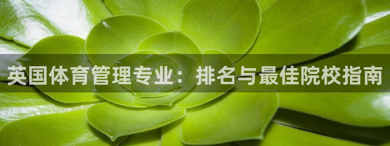 必一体育bsport