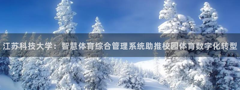 必一体育下载
