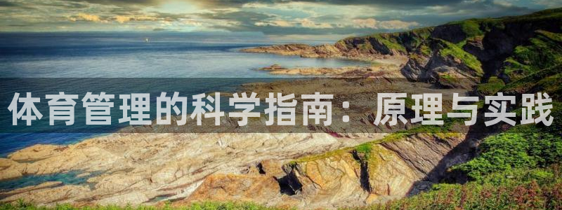 必一体育sport