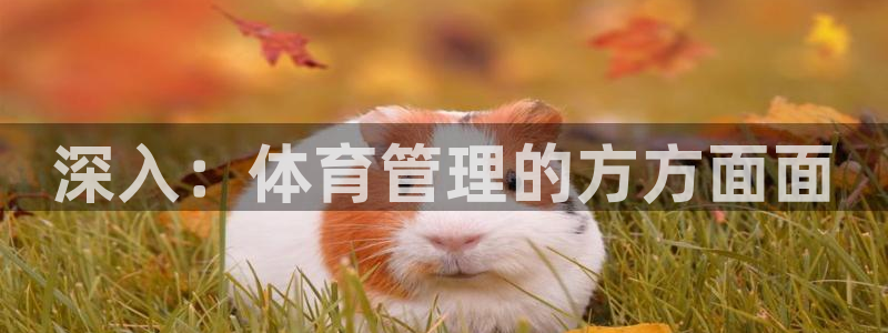 必一体育下载