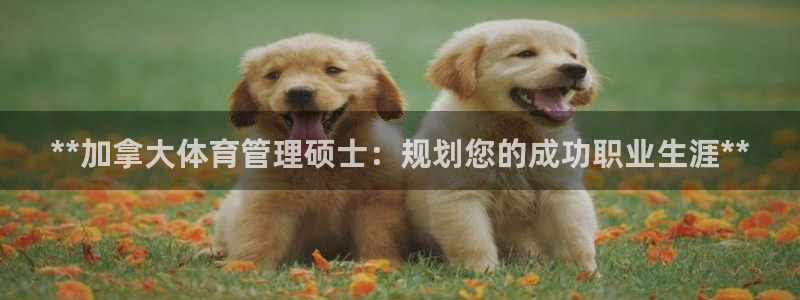 必一体育下载义：**
