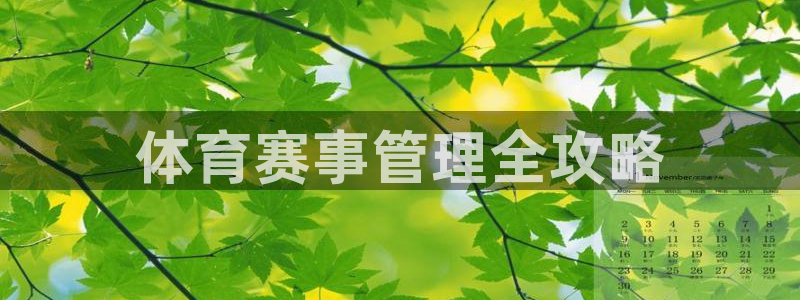 必一体育游戏特色
